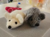 Workshop Filzen mit der Nadel Mäuse mit der Nadel gefilzt