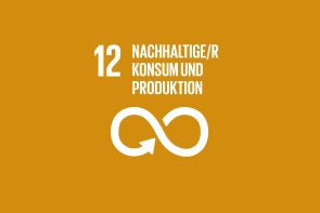 12 Konsum Icon Nachhaltigkeitsziel 12, nachhaltiger Konsum und Produktion
