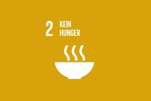 2 Hunger Icon Nachhaltigkeitsziel 2, kein Hunger
