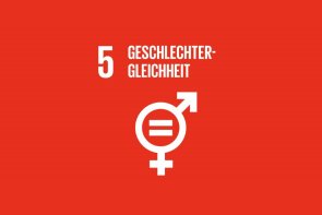 5 Gleichheit Icon Nachhaltigkeitsziel 5, Geschlechtergleichheit