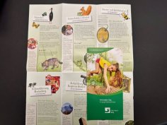 Auszug Kinderkarte