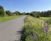 Ansicht Fahrradweg in der Naturregion Sieg