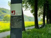Erlebniswege Naturregion Sieg Wanderweg, Bäume, Informationstafel für Rundweg