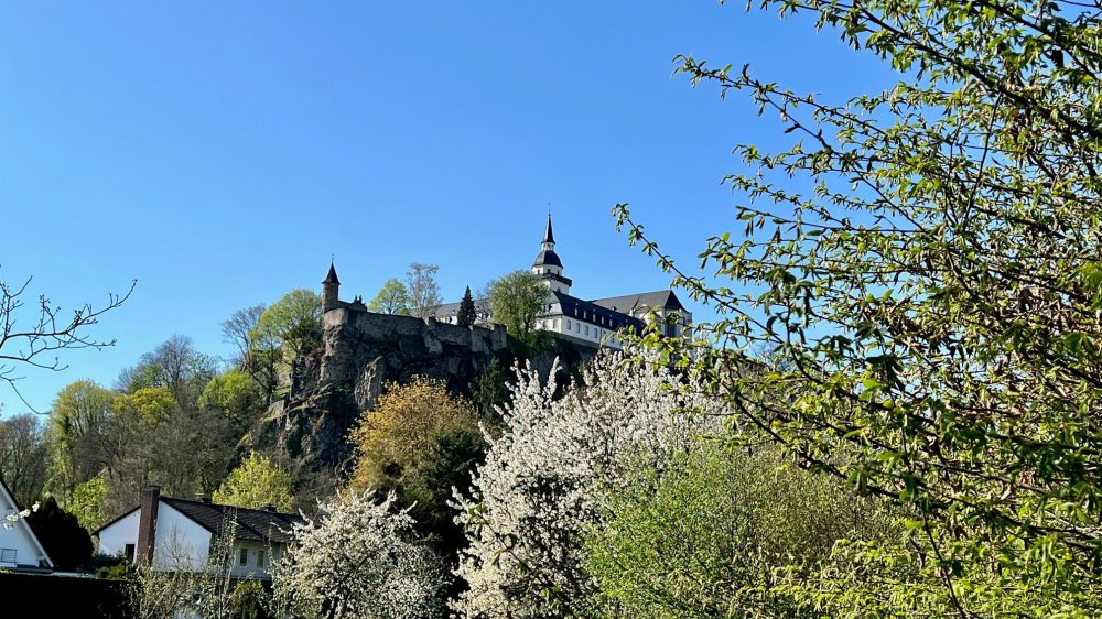Ehemalige Abtei Michaelsberg im Frühling